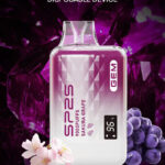 SP2S | SPRINGTIME思博瑞 幻夜黑單桿主機
